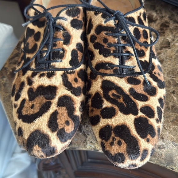 Leopard JCrew collection calfskin Lace-Up Oxford hazelnut
Made in Italy - Picture 9 of 17